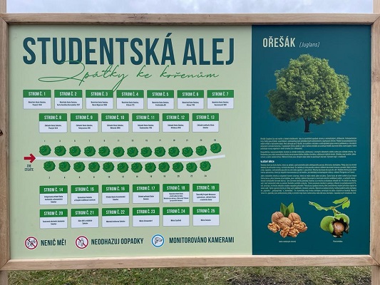 Škola v Sokolově má vlastní strom